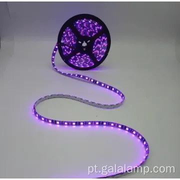 Luz de tira de LED DMX RGB 5050 à prova d&#39;água